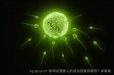 影响试管婴儿的成功因素有哪些？来看看