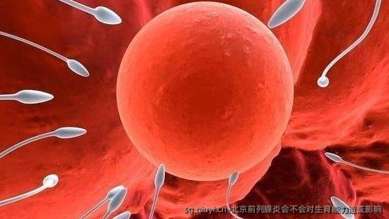 北京前列腺炎会不会对生育能力造成影响
