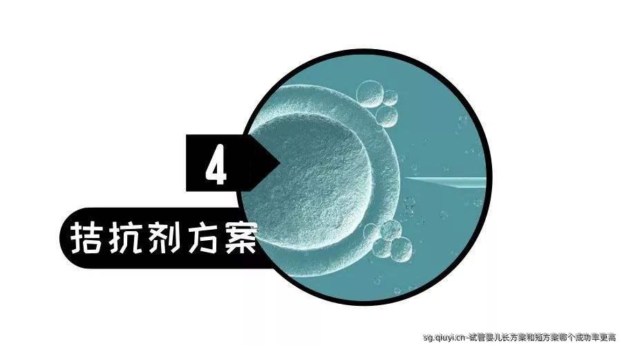试管婴儿长方案和短方案哪个成功率更高