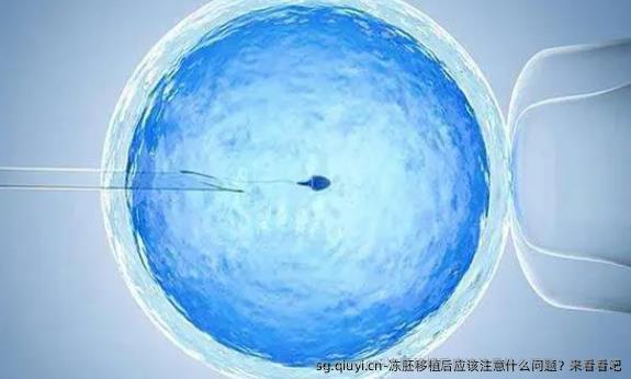 冻胚移植后应该注意什么问题？来看看吧