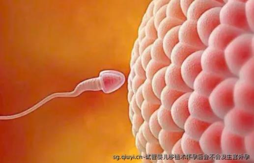 试管婴儿移植术怀孕后会不会发生宫外孕