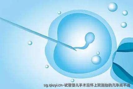 试管婴儿手术后怀上双胞胎的几率高不高