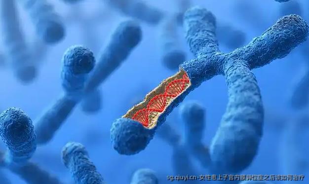 女性患上子宫内膜异位症之后该如何治疗