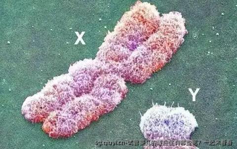试管婴儿的适应症有哪些呢？一起来看看