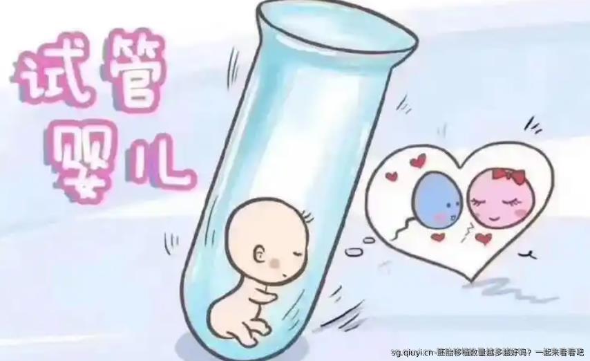 胚胎移植数量越多越好吗？一起来看看吧