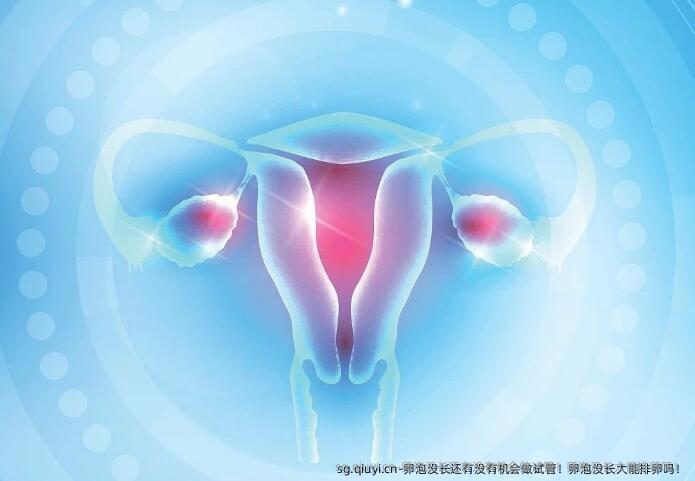 卵泡没长还有没有机会做试管！卵泡没长大能排卵吗！
