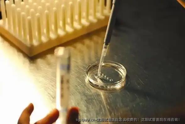 沈阳试管医院怎么收费的！沈阳试管医院在线咨询！