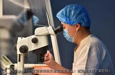 试管黄体期方案成功率高么！试管黄体期方案好吗！