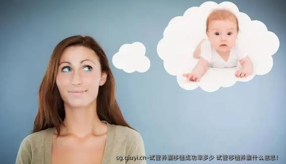 试管养囊移植成功率多少 试管移植养囊什么意思！