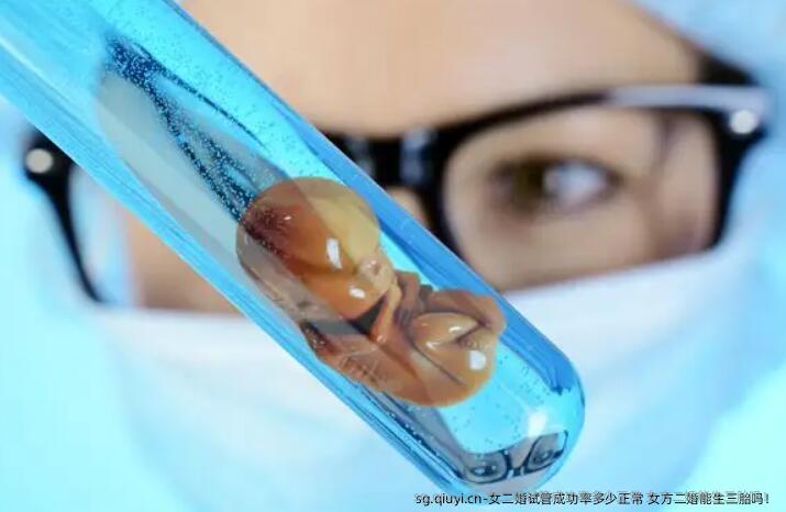 女二婚试管成功率多少正常 女方二婚能生三胎吗！