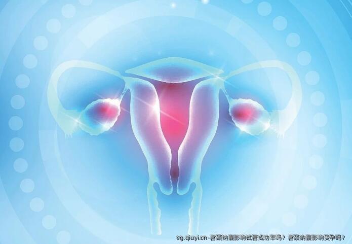 宫颈纳囊影响试管成功率吗？宫颈纳囊影响受孕吗？