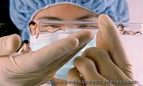 沈阳哪家医院有试管婴儿 沈阳哪个医院能做试管！
