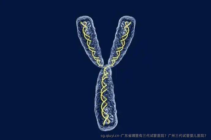 广东省哪里有三代试管医院？广州三代试管婴儿医院？