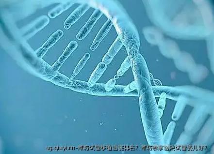 潍坊试管移植医院排名？潍坊哪家医院试管婴儿好？