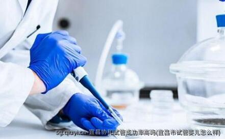 宜昌协和试管成功率高吗(宜昌市试管婴儿怎么样)