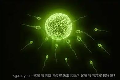试管卵泡取得多成功率高吗？试管卵泡越多越好吗？