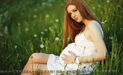 三代试管婴儿一般要花多少钱？如果一次性成功做第三代试管婴儿需要多少钱？