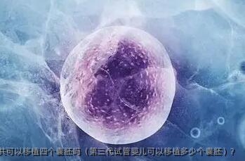 第三代试管婴儿总共可以移植四个囊胚吗（第三代试管婴儿可以移植多少个囊胚）？