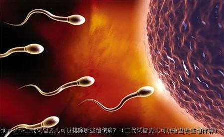 三代试管婴儿可以排除哪些遗传病？（三代试管婴儿可以检查哪些遗传病）