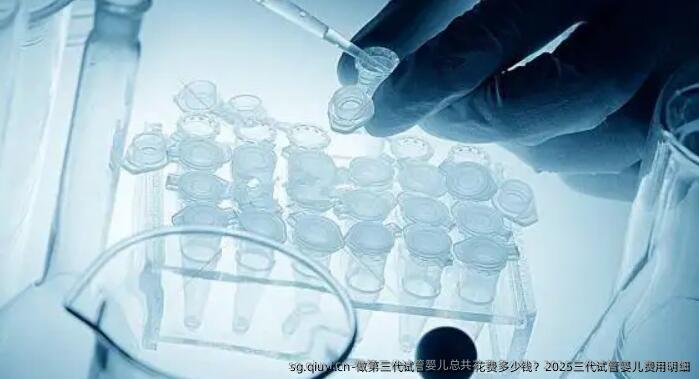 做第三代试管婴儿总共花费多少钱？2025三代试管婴儿费用明细