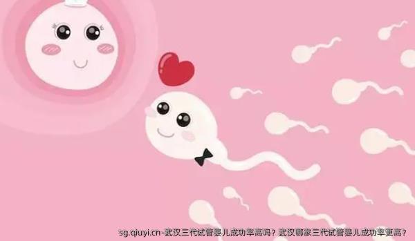 武汉三代试管婴儿成功率高吗？武汉哪家三代试管婴儿成功率更高？