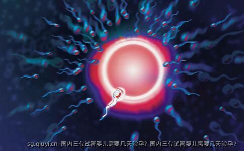 国内三代试管婴儿需要几天验孕？国内三代试管婴儿需要几天验孕？
