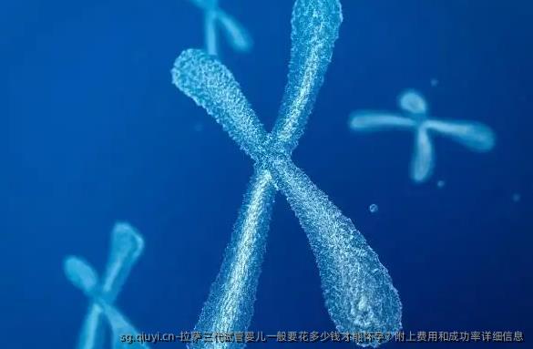 拉萨三代试管婴儿一般要花多少钱才能怀孕？附上费用和成功率详细信息