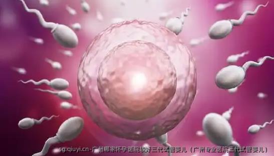 广州哪家怀孕医院较好三代试管婴儿（广州专业医院三代试管婴儿）