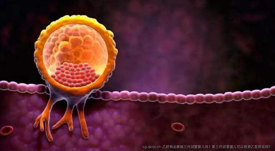乙肝有必要做三代试管婴儿吗？第三代试管婴儿可以检测乙型肝炎吗？