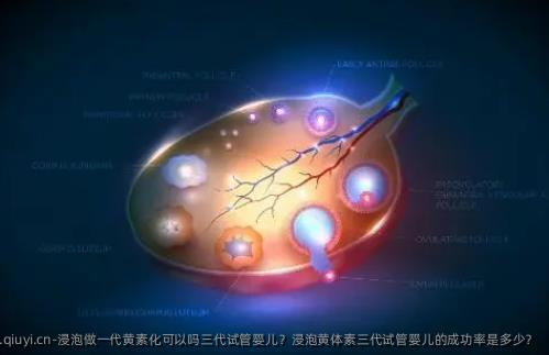 浸泡做一代黄素化可以吗三代试管婴儿？浸泡黄体素三代试管婴儿的成功率是多少？