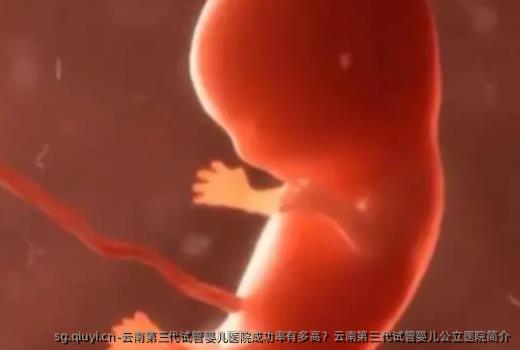 云南第三代试管婴儿医院成功率有多高？云南第三代试管婴儿公立医院简介