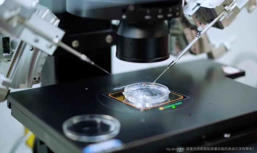 调理月经周期和卵巢功能的具体方法有哪些?