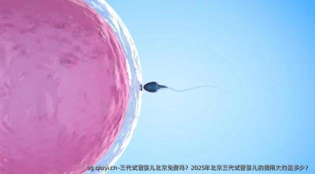 三代试管婴儿北京免费吗？2025年北京三代试管婴儿的费用大约是多少？