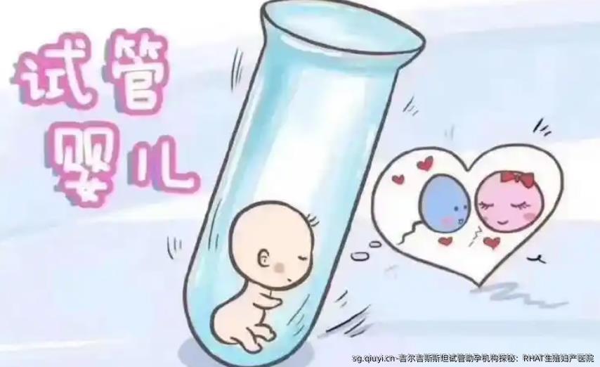吉尔吉斯斯坦试管助孕机构探秘：RHAT生殖妇产医院