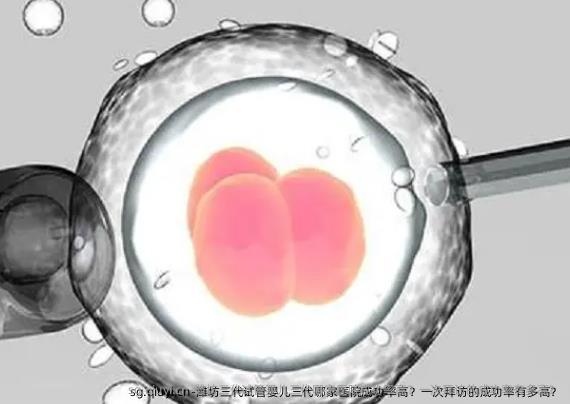 潍坊三代试管婴儿三代哪家医院成功率高？一次拜访的成功率有多高？