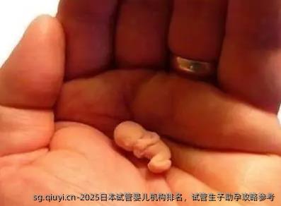 2025日本试管婴儿机构排名，试管生子助孕攻略参考