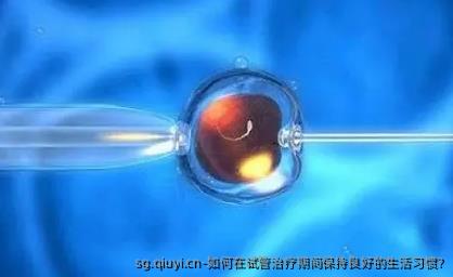 如何在试管治疗期间保持良好的生活习惯?