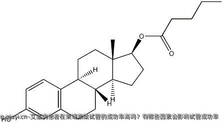 艾滋病患者在柬埔寨做试管的成功率高吗？有哪些因素会影响试管成功率