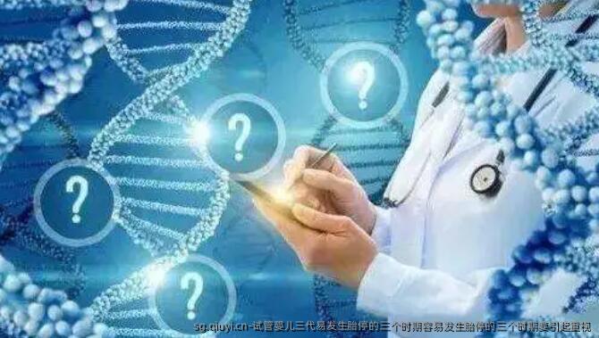 试管婴儿三代易发生胎停的三个时期容易发生胎停的三个时期要引起重视