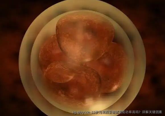33岁马来西亚做试管成功率高吗？详解关键因素