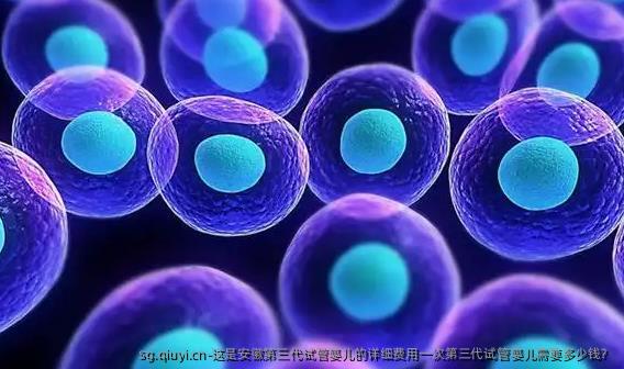 这是安徽第三代试管婴儿的详细费用一次第三代试管婴儿需要多少钱？