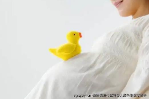 泰国第三代试管婴儿成功率深度解析