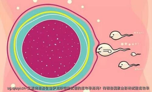 艾滋病患者在哈萨克斯坦做试管的成功率高吗？有哪些因素会影响试管成功率