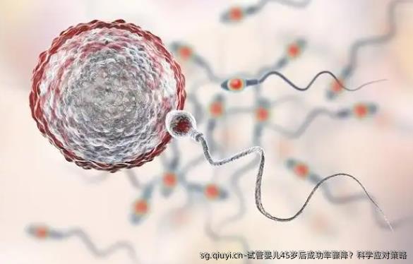 试管婴儿45岁后成功率骤降？科学应对策略