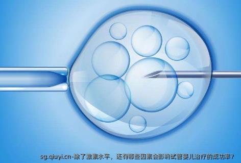 除了激素水平，还有哪些因素会影响试管婴儿治疗的成功率？