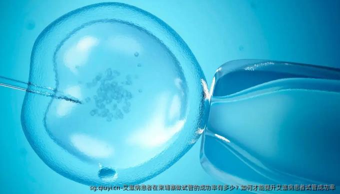 艾滋病患者在柬埔寨做试管的成功率有多少？如何才能提升艾滋病患者试管成功率