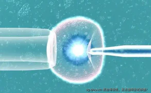胚胎等级低，是否值得尝试移植？