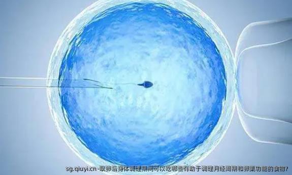 卵泡取出后身体调理期间可以吃哪些有助于调理月经周期和卵巢功能的食物?