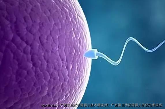 广州第三代试管婴儿技术哪家好？广州第三代试管婴儿的成功率很高