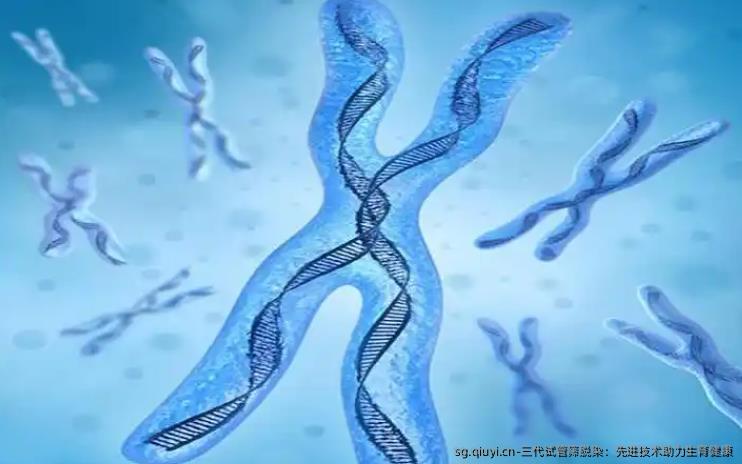 三代试管筛脱染：先进技术助力生育健康
